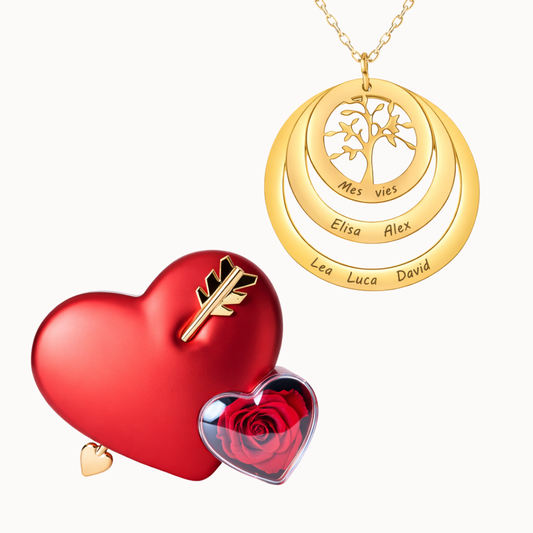 Caixa Cupido com Colar Círculo Árvore da Família Personalizado